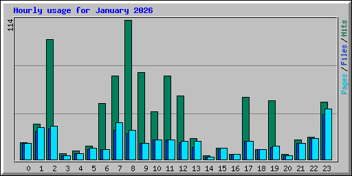 Hourly usage for January 2026