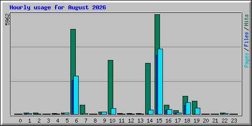 Hourly usage for August 2026